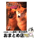 【中古】 捨て犬・未来と子犬のマーチ もう、安心していいんだよ / 今西 乃子 / 岩崎書店 [単行本]【宅配便出荷】