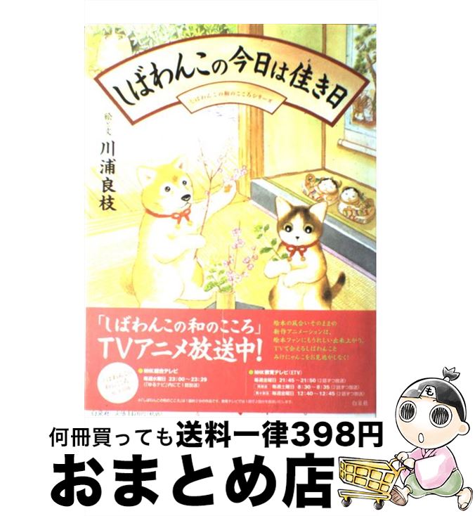 š Ф󤳤κϲ¤ /  ɻ /  [緿]ؽв١