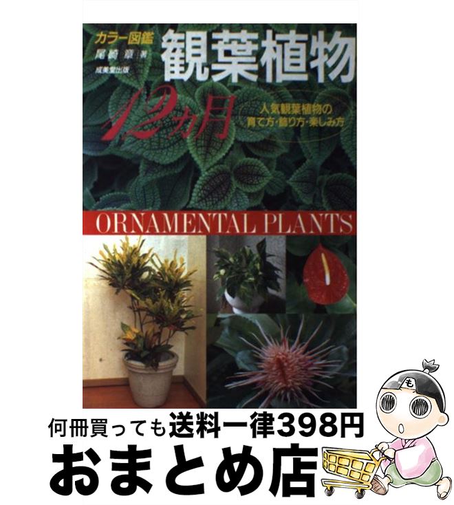 【中古】 観葉植物12カ月 人気観葉植物の育て方・飾り方・楽しみ方 / 尾崎 章 / 成美堂出版 [単行本]【宅配便出荷】