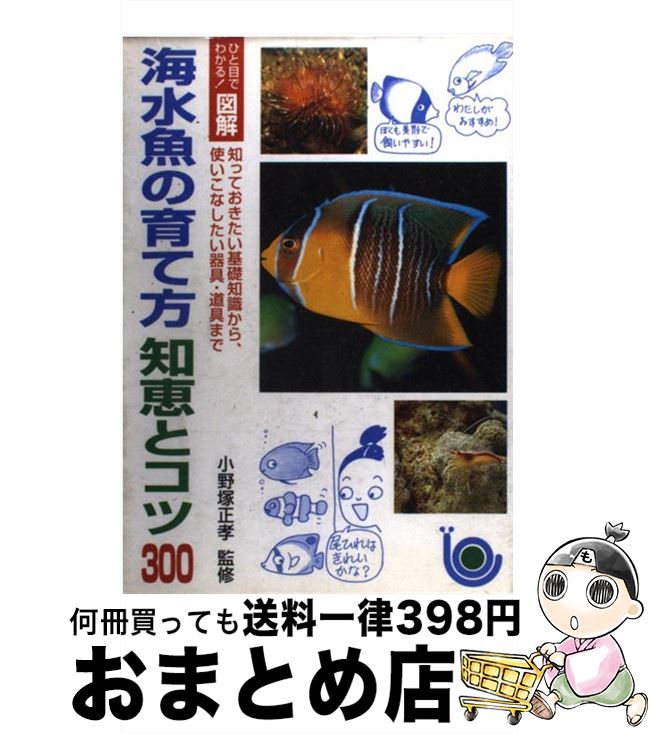 【中古】 海水魚の育て方知恵とコツ300 ひと目でわかる！図解 / 主婦と生活社 / 主婦と生活社 [単行本]【宅配便出荷】