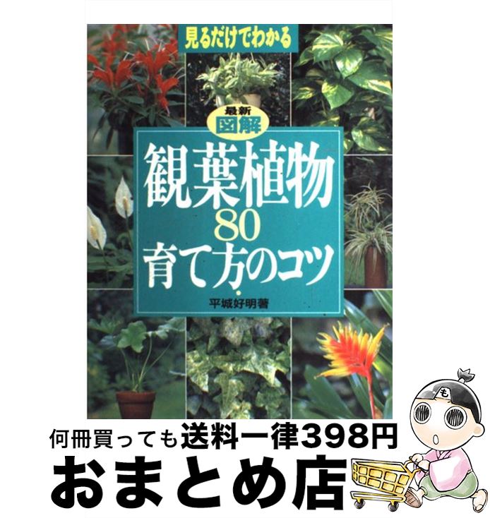 【中古】 最新図解観葉植物80育て方のコツ 見るだけでわかる / 平城 好明 / 主婦の友社 [単行本]【宅配..