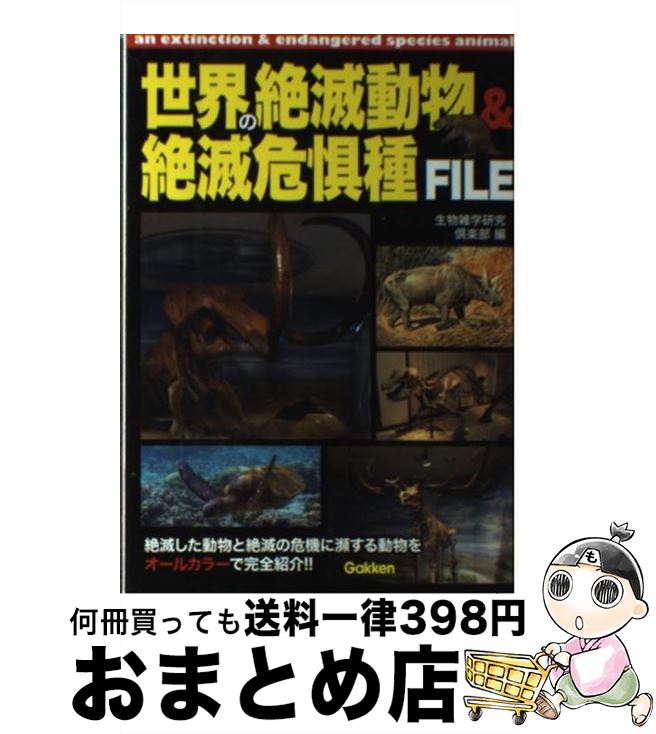 š ưʪǴFILE / ʪظ / ظץ饹 [ñ]ؽв١