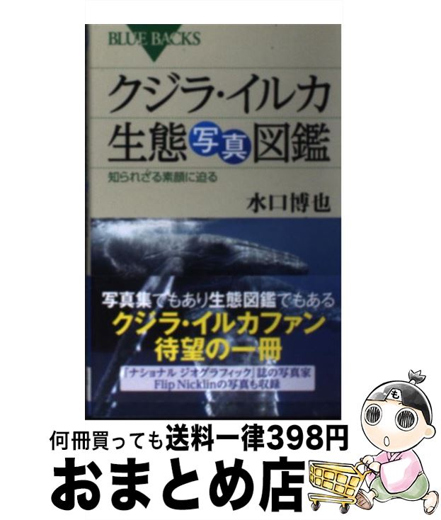 【中古】 クジラ・イルカ生態写真図鑑 知られざる素顔に迫る / 水口 博也 / 講談社 [新書]【宅配便出荷】