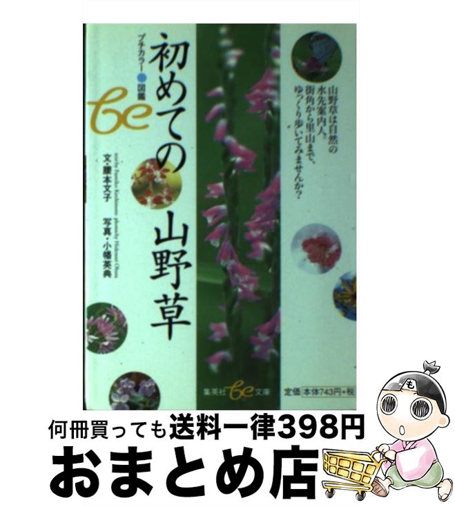 š Ƥλ /  ʸ / Ѽ [ʸ]ؽв١