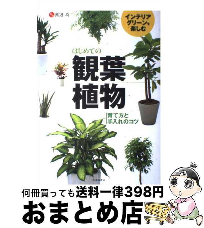 š ϤƤδտʪ ƥꥢ꡼ڤ /   / ĽŹ [ñ]ؽв١