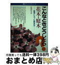 【中古】 花木・庭木 こんなときど