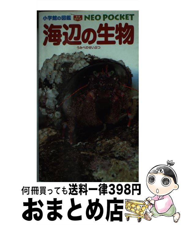 【中古】 海辺の生物 / 白山 義久, 甲斐 嘉晃, 駒井 智幸, 齋藤 寛, 長谷川 和範, 横浜 康継 / 小学館 [単行本]【宅配便出荷】