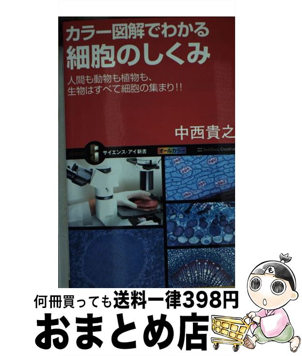 š 顼޲Ǥ狼˦Τ ʹ֤ưʪ⿢ʪ⡢ʪϤ٤ƺ˦νޤꡪ /  Ƿ / SBꥨƥ []ؽв١