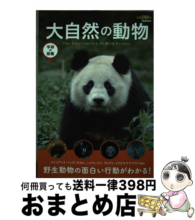 š 缫ưʪ /  / ظץ饹 [ñ]ؽв١