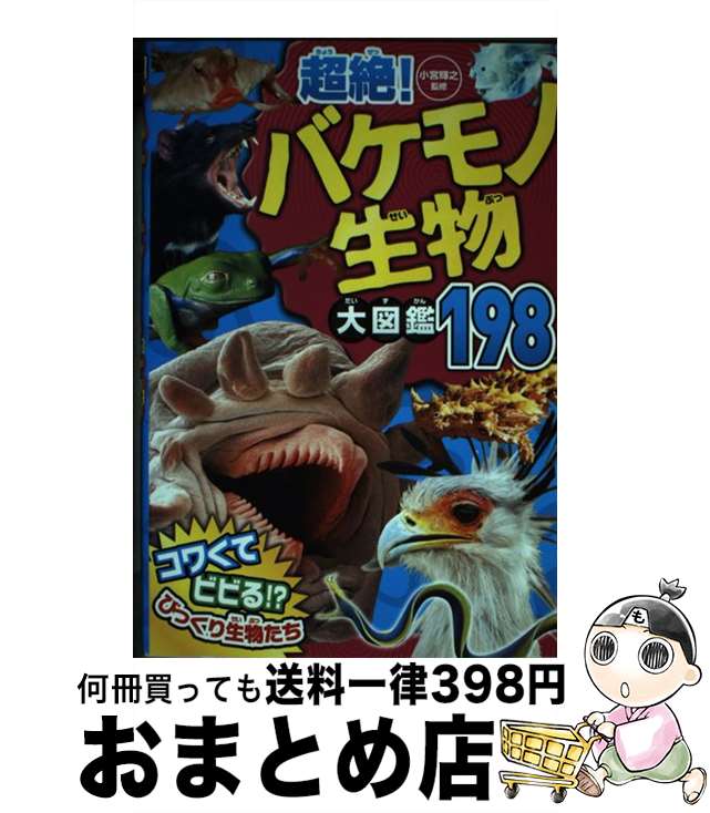 š Ķ䡪Хʪ޴198 / ܵǷ /  [ñܡʥեȥС]ؽв١