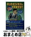  ネットビジネスで何ができますか？ ネットブームに流されないための辛口入門書 / 三石 玲子 / ぜんにちパブリッシング 