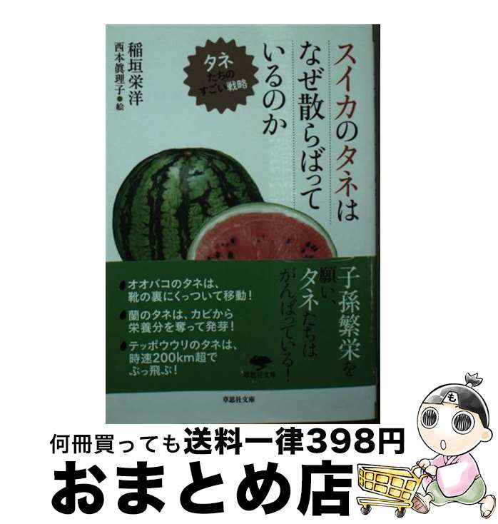 【中古】 スイカのタネはなぜ散らばっているのか タネたちのすごい戦略 / 西本 眞理子, 稲垣 栄洋 / 草思社 [文庫]【宅配便出荷】