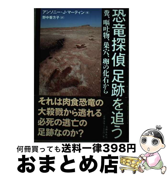 š εõ­פɤ ʵʪꡢβФ / 󥽥ˡJޡƥ,   / ʸ麽ս [ñ]...