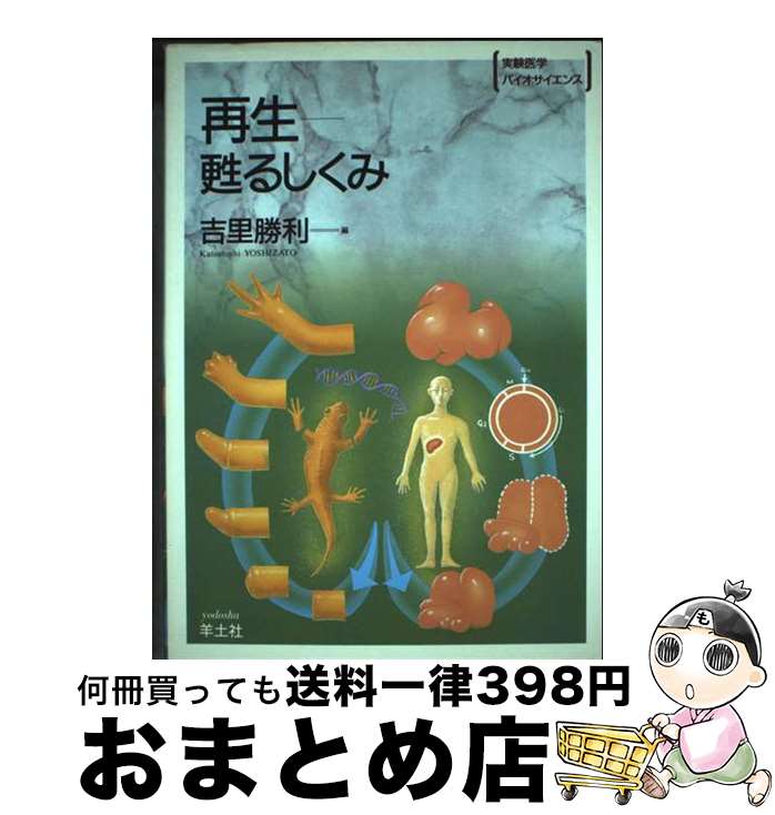 š ᴤ뤷 BS23 / ڼ / ڼ [ڡѡХå]ؽв١