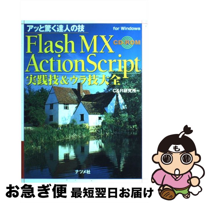 【中古】 Flash　MX　ActionScript実践技