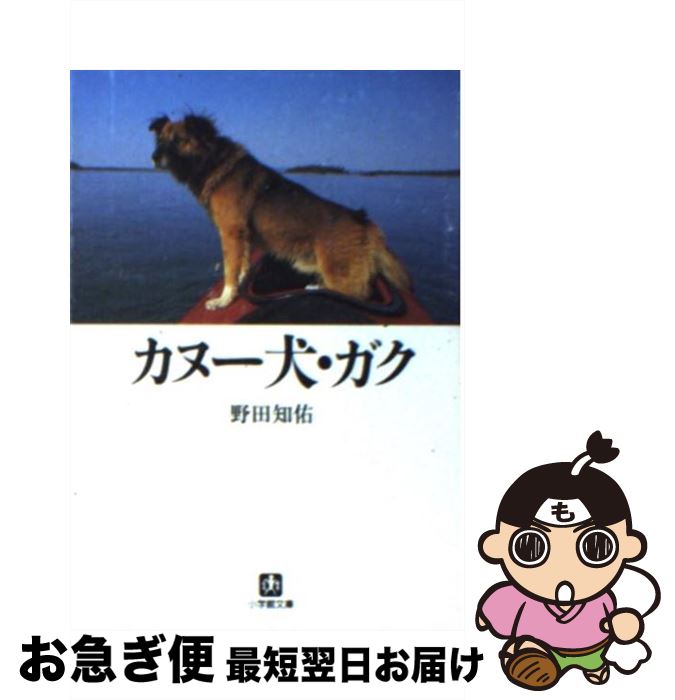 【中古】 カヌー犬・ガク / 野田 知