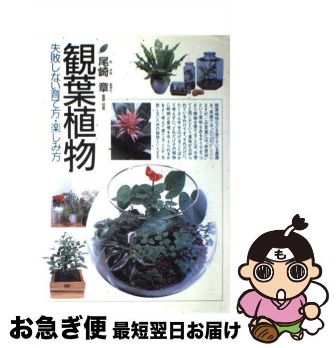 【中古】 観葉植物 失敗しない育て