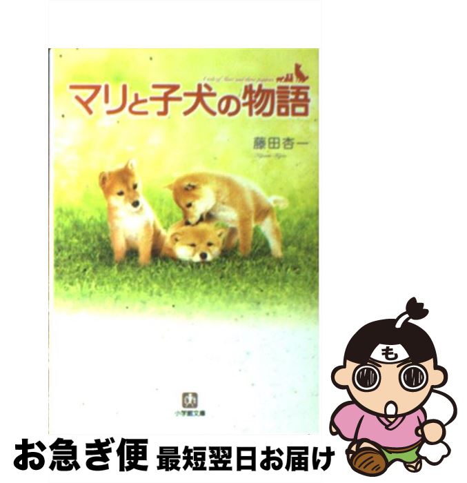 【中古】 マリと子犬の物語 / 藤田 杏一 / 小学館 [文庫]【ネコポス発送】