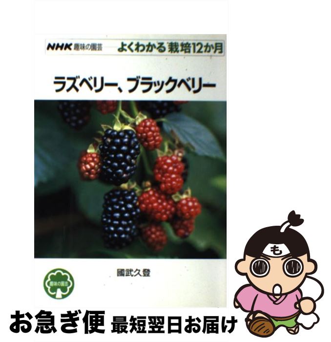 š 饺٥꡼֥å٥꡼ / Ԣ  / NHK [ñܡʥեȥС]ڥͥݥȯ