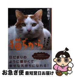 【中古】 猫ぢから 愛は‘無償’にきまっとる / 新美 敬子, 坂川 栄治 / 講談社 [単行本]【ネコポス発送】