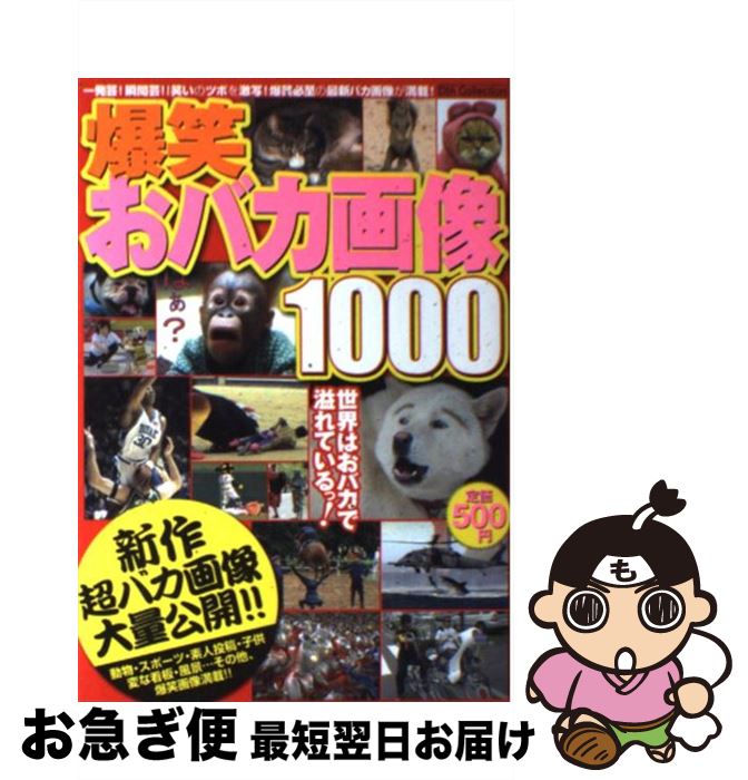 【中古】 爆笑おバカ画像1000 大爆笑必至の最新バカ画像大量公開 / ダイアプレス / ダイアプレス [ムック]【ネコポス発送】