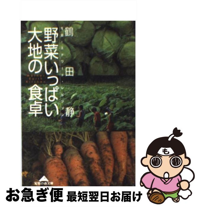 楽天もったいない本舗　お急ぎ便店【中古】 野菜いっぱい大地の食卓 Mother　earth　kitchen / 鶴田 静 / 光文社 [文庫]【ネコポス発送】