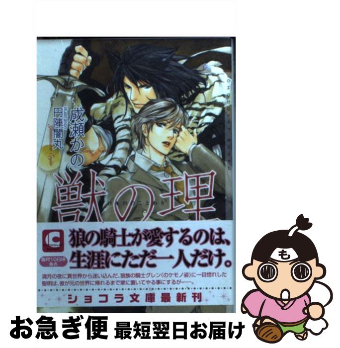 š ä /  , ߿ Ǵ /  [ʸ]ڥͥݥȯ