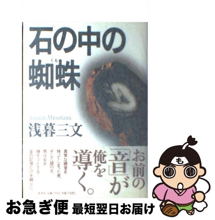 š Ф /  ʸ / Ѽ [ñ]ڥͥݥȯ