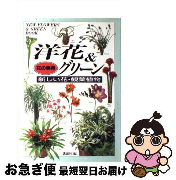 【中古】 洋花＆グリーン 新しい花・観葉植物 / 講談社 / 講談社 [単行本]【ネコポス発送】