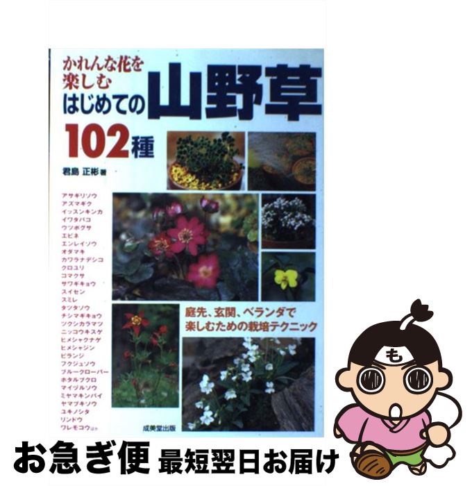 楽天市場】早春の山野草の通販