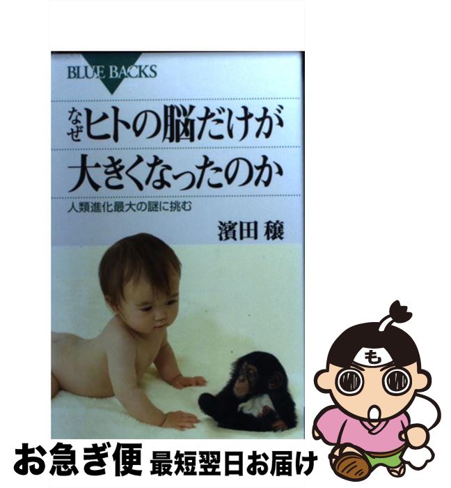 楽天もったいない本舗　お急ぎ便店【中古】 なぜヒトの脳だけが大きくなったのか 人類進化最大の謎に挑む / 濱田 穣 / 講談社 [新書]【ネコポス発送】