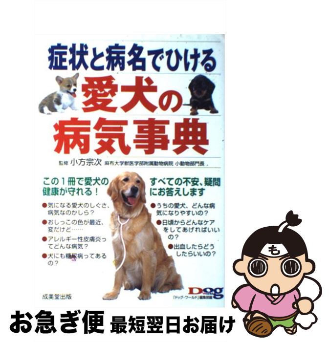 äʤޡޤŹ㤨֡š ɾ̾ǤҤ밦µŵ / ɥåԽ / Ʋ [ñ]ڥͥݥȯۡפβǤʤ295ߤˤʤޤ