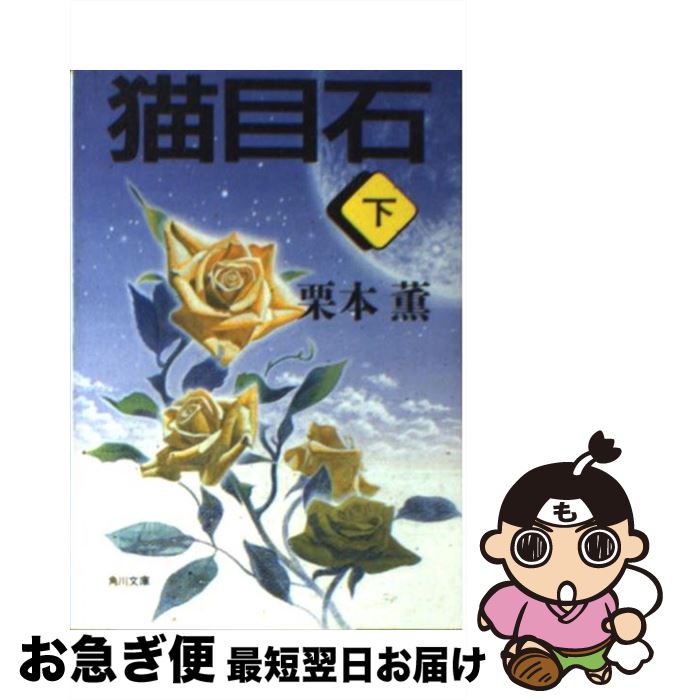 š ǭ  /   / KADOKAWA [ʸ]ڥͥݥȯ