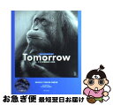 【中古】 Tomorrow ステキな明日はきっと来る / ブラッドリー・トレバー グリーヴ, Bradley Trevor Greive, 石田 享 / 竹書房...