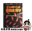 【中古】 Essential細胞生物学 / Bruce Alberts / 南江堂 大型本 【ネコポス発送】