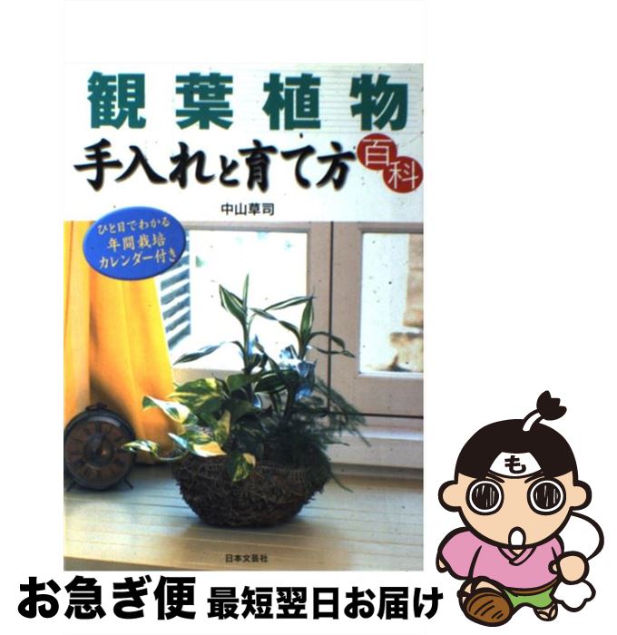 【中古】 観葉植物手入れと育て方百科 ひと目でわかる年間栽培カレンダー付き / 中山 草司 / 日本文芸社 [単行本]【ネコポス発送】の商品画像