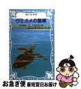 【中古】 ウミガメの冒険 / 中村 庸夫, 大矢 正志 / 講談社 [新書]【ネコポス発送】