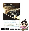 【中古】 待っている犬 東日本大震災で被災した犬猫たち / ドックウッド / 角川書店(角川グループパブリッシング) [単行本]【ネコポス発送】