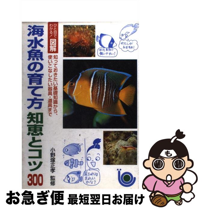 【中古】 海水魚の育て方知恵とコツ300 ひと目でわかる！図解 / 主婦と生活社 / 主婦と生活社 [単行本]【ネコポス発送】