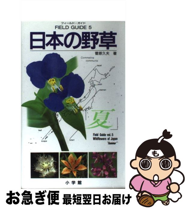 【中古】 日本の野草 夏 / 菅原 久夫 / 小学館 [単行本]【ネコポス発送】
