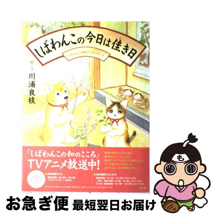 š Ф󤳤κϲ¤ /  ɻ /  [緿]ڥͥݥȯ