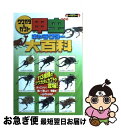 【中古】 クワガタ＆カブト甲虫キャラクター大百科 113種類の甲虫が登場！ / ぽにーてーる / カンゼン 単行本（ソフトカバー） 【ネコポス発送】