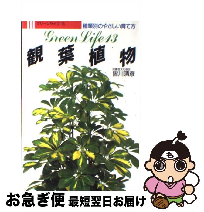 【中古】 観葉植物 種類別のやさしい育て方 / 皆川 清彦 / 永岡書店 [単行本]【ネコポス発送】