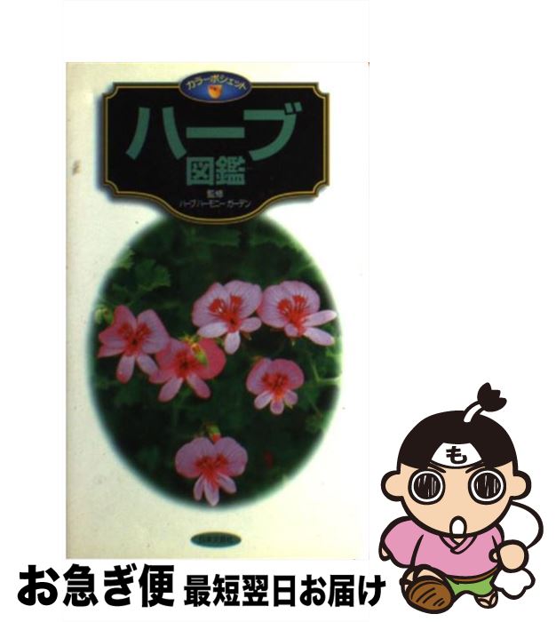 š ϡֿ޴ 饬ǥ˥󥰤ޤǤ٤Ƥ狼ϡ֥ / ʸݼ / ʸݼ []ڥͥݥȯ