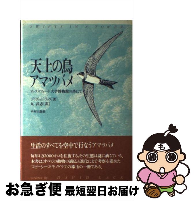【中古】 天上の鳥・アマツバメ オックスフォード大学博物館の塔にて / デイヴィッド ラック, David Lack, 丸 武志 / 平河出版社 [単行本]【ネコポス発送】