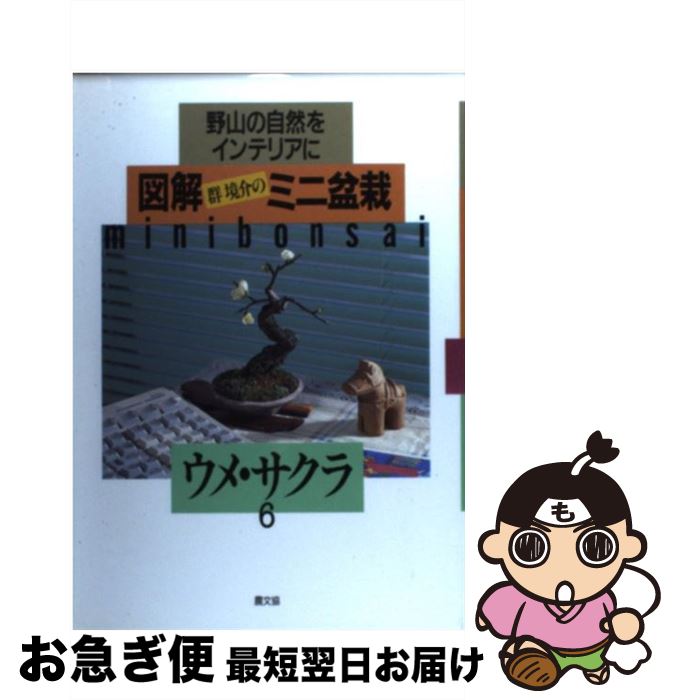 š ޲򷲶Υߥߺ μ򥤥ƥꥢ 6 /   / ¼ʸ [ñ]ڥͥݥȯ