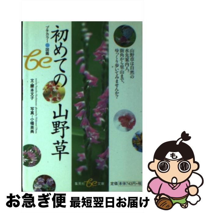 š Ƥλ /  ʸ / Ѽ [ʸ]ڥͥݥȯ