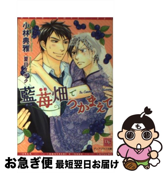 【中古】 藍苺畑でつかまえて / 小林 典雅, 夏目 イサク / 新書館 [文庫]【ネコポス発送】