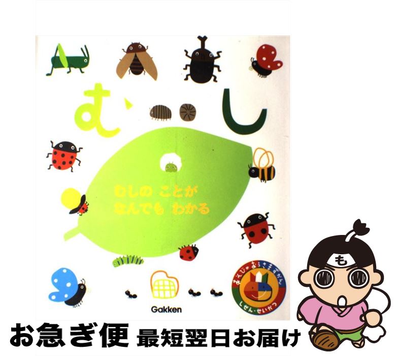【中古】 むし むしのことがなんでもわかる / 須田孫七 / 学研プラス [大型本]【ネコポス発送】