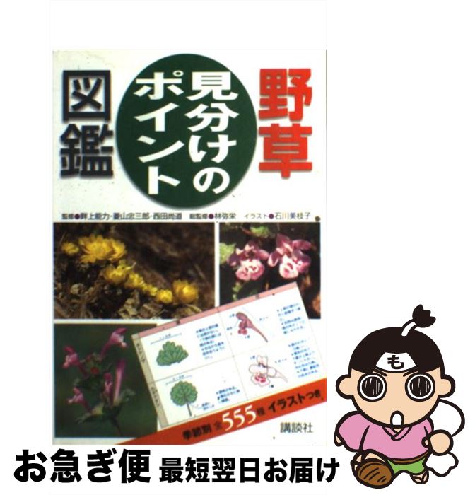 š ʬΥݥȿ޴ /  , ʾ ǽ / ̼ [ñܡʥեȥС]ڥͥݥȯ